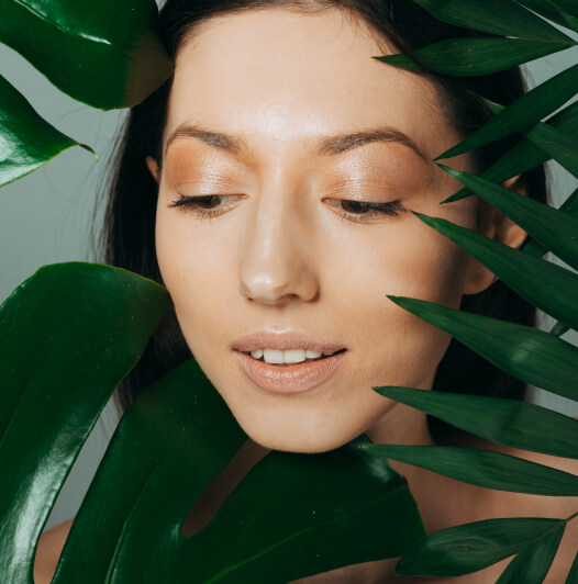 Consultas Personalizadas Image