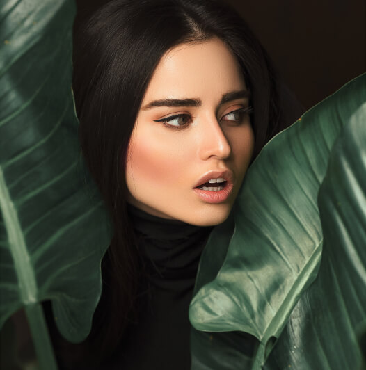 Productos Ecológicos Image