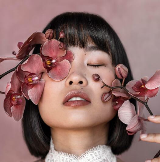 Servicios Galardonados Image